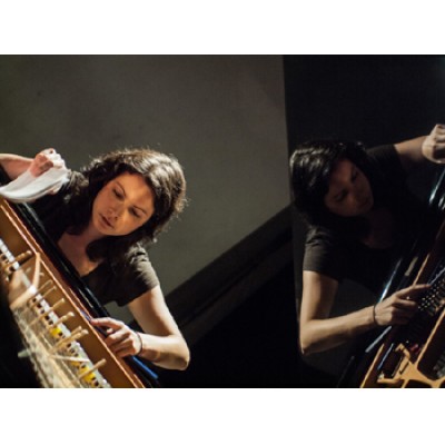 Kris Davis / Sylvaine Hélary / Edward Perraud - Photo : Peter Gannushkin