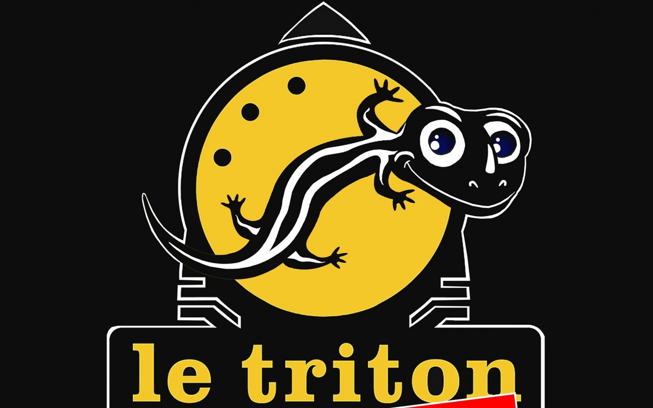 LE TRITON FÊTE SES 25 ANS !